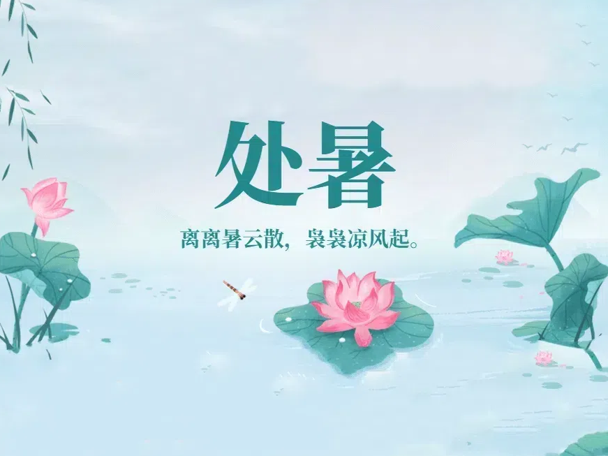 thumb_1724291322316757