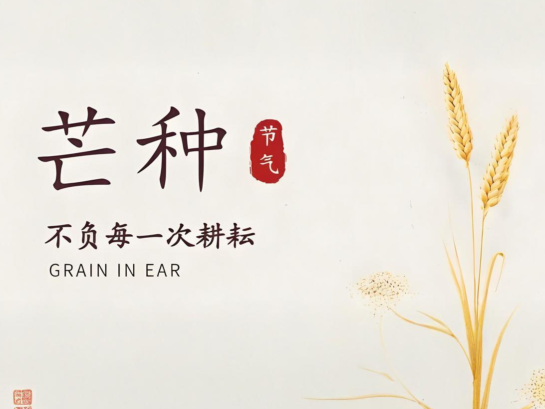 thumb_1749117599475868