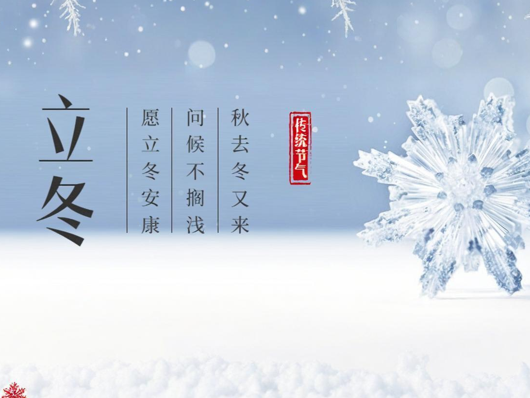 立冬 | 初冬新酝，，，向光而行