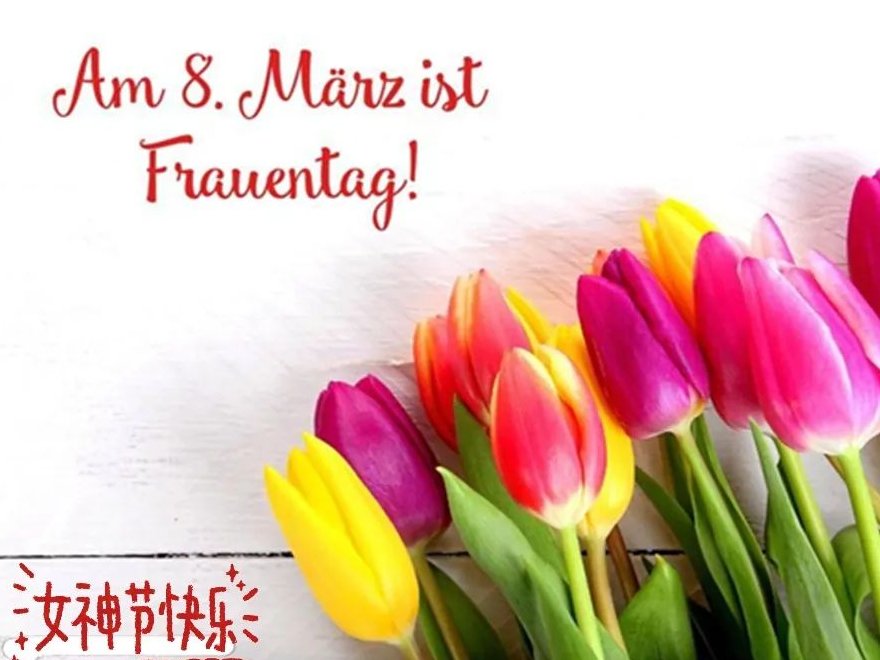 thumb_1703817590622353